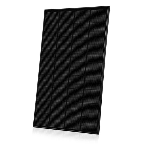 SSH100200 - SUNSHARE Ray 200W Solarpanel